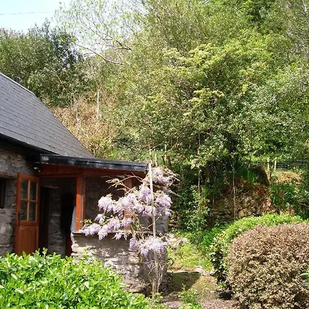 Couette-café Stepping Stone Glencar
